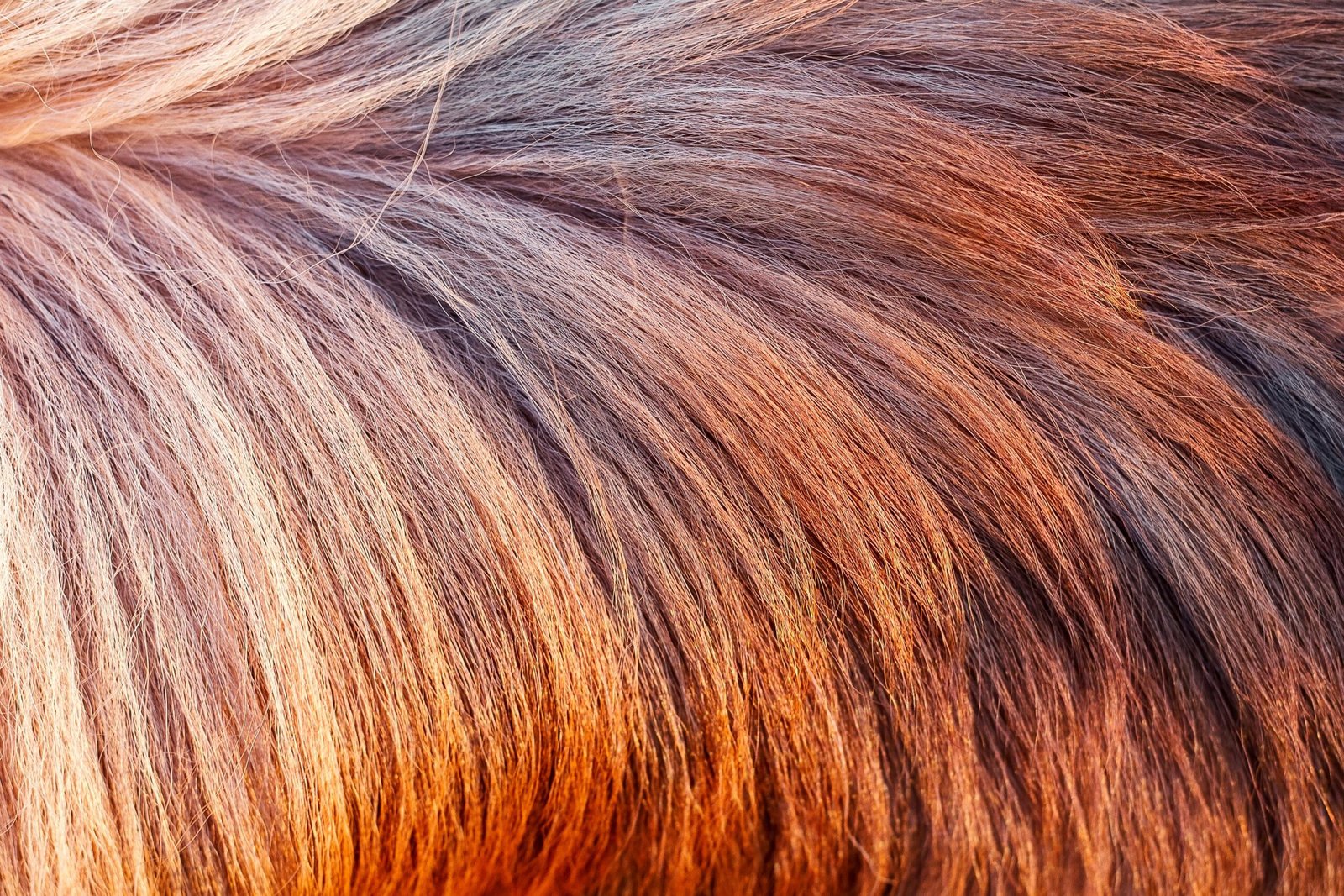Les critères essentiels pour choisir un sèche-cheveux performant en 2026